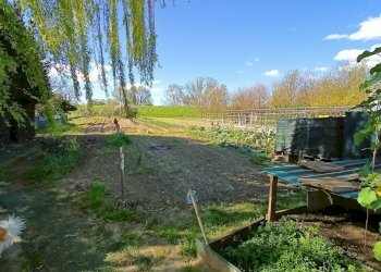 Foto 2 - Agriturismo via del pesco, Santa Maria a Monte - foto 2