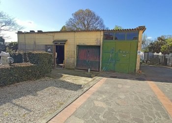 Foto 3 - Agriturismo via del pesco, Santa Maria a Monte - foto 3