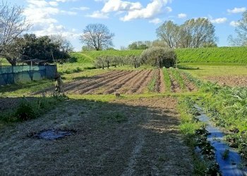 Foto 6 - Agriturismo via del pesco, Santa Maria a Monte - foto 6