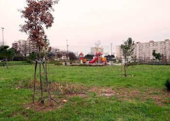 Giardino - Trilocale Via Giacomo Giacobelli
 
23, Bari - foto 13