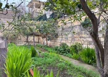 Foto 30 - Appartamento Via Segni
 
4, Sennori - foto 30