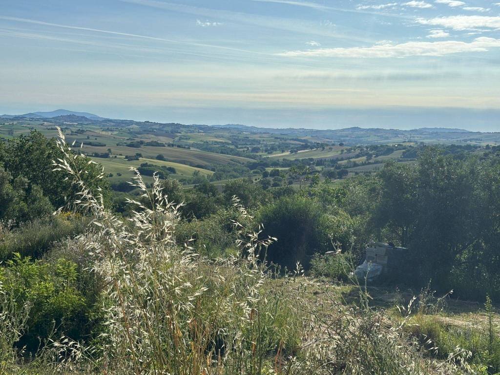 Vista - Rustico Località San Venanzo, Cingoli - foto 1