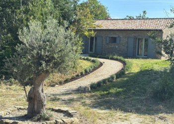 Terreno - Rustic Località San Venanzo, Cingoli - photo 4