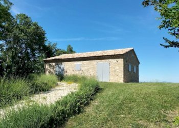 Terreno - Rustico Località San Venanzo, Cingoli - foto 10