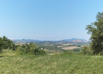 Terreno - Rustico Località San Venanzo, Cingoli - foto 20