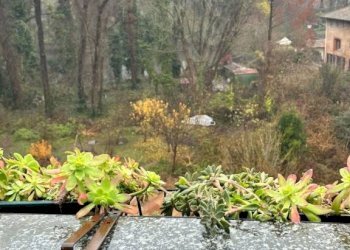 Vista - Attic via Ardengo Folperti, Pavia - photo 34