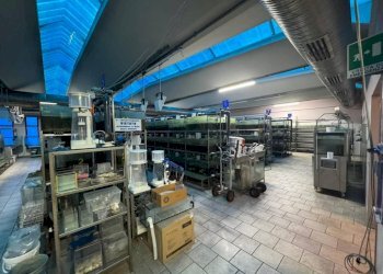 Magazzino - Capannone via Vittorio Arconti, 11, Gallarate - foto 9