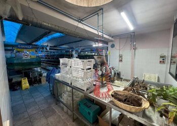 Magazzino - Capannone via Vittorio Arconti, 11, Gallarate - foto 10