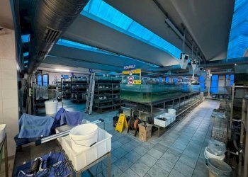 Magazzino - Capannone via Vittorio Arconti, 11, Gallarate - foto 11