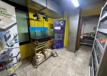 Magazzino - Capannone via Vittorio Arconti, 11, Gallarate - foto 17