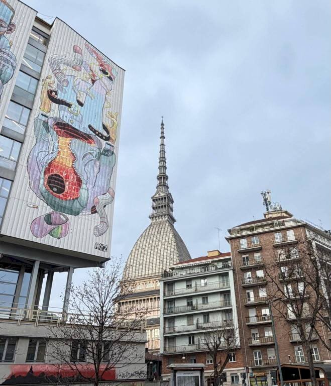 Zona - Attic corso San Maurizio, 63, Torino (neighborhood Vanchiglia) - photo 1