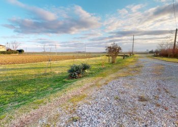 md2006-01142025_093605 - Independent house via Sant'Antonio, Medicina - photo 35