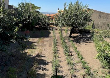 Giardino - Casa indipendente Via Sebastiano Satta
 
5, Laconi - foto 9