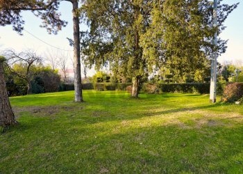 Giardino - Villa Via Della Repubblica
 
64, Reggio nell'Emilia - foto 8