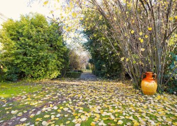 Giardino - Villa Via Della Repubblica
 
64, Reggio nell'Emilia - foto 11