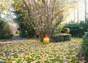 Giardino - Villa Via Della Repubblica
 
64, Reggio nell'Emilia - foto 12