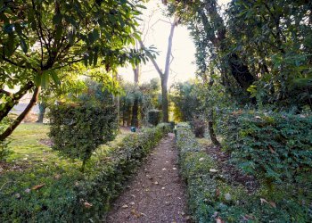 Giardino - Villa Via Della Repubblica
 
64, Reggio nell'Emilia - foto 14