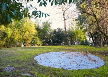 Giardino - Villa Via Della Repubblica
 
64, Reggio nell'Emilia - foto 20