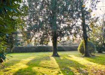 Giardino - Villa Via Della Repubblica
 
64, Reggio nell'Emilia - foto 28