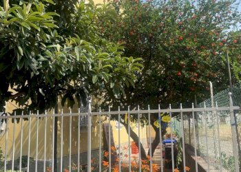 PHOTO-2026-01-12-11-30-59_2.jpg - Terratetto - Terracielo Strada Alessandria, Parma - foto 3