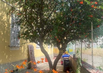 PHOTO-2026-01-12-11-30-59_3.jpg - Terratetto - Terracielo Strada Alessandria, Parma - foto 4