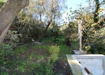 Terreno - Porzione di casa Recco - foto 24