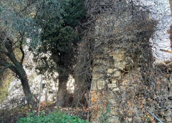 9.jpeg - Villa via silvio peglio snc, Bordighera - foto 21