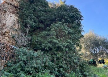 11.jpeg - Villa via silvio peglio snc, Bordighera - foto 23