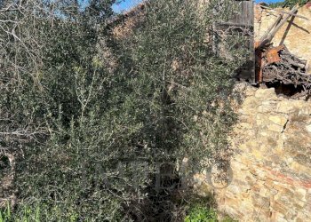 13.jpeg - Villa via silvio peglio snc, Bordighera - foto 25