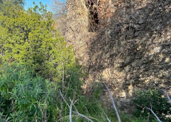 15.jpeg - Villa via silvio peglio snc, Bordighera - foto 27