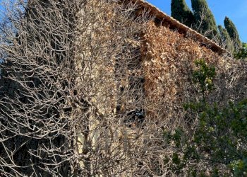 17.jpeg - Villa via silvio peglio snc, Bordighera - foto 29