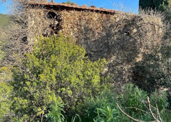 18.jpeg - Villa via silvio peglio snc, Bordighera - foto 30