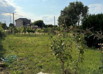 11711ef1-06bf-4992-a1c7-4130675c8067.JPG - Villa Villamarzana - foto 9