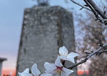 IMG_0325.jpg - Villa Strada San Caterina 27, Viterbo - photo 17