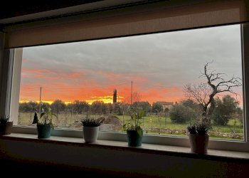 IMG_9876.jpg - Villa Strada San Caterina 27, Viterbo - photo 18