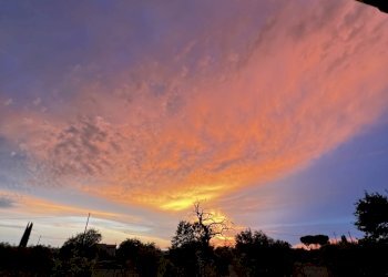 IMG_9018.jpg - Villa Strada San Caterina 27, Viterbo - photo 20