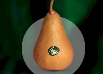 Pere IGP.jpg - Terreno agricolo via marchiona, Modena - foto 5