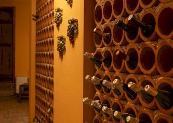 Villa Castiglione Torinese - photo 25