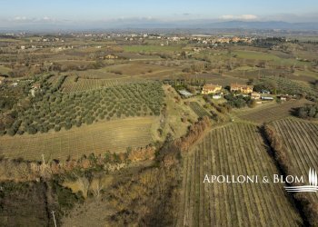 Rustic di Montenero, 25, Montepulciano - photo 43