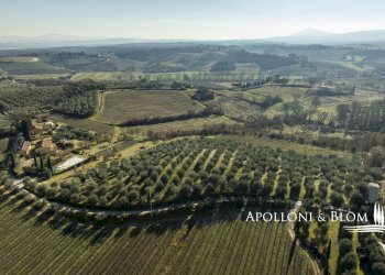 Rustic di Montenero, 25, Montepulciano - photo 44