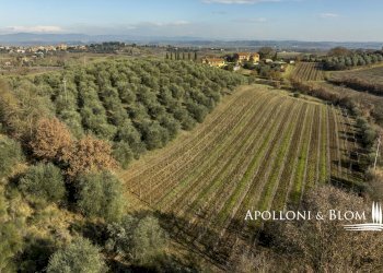 Rustic di Montenero, 25, Montepulciano - photo 45