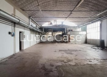Shed Capannori - photo 2