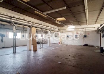 Shed Capannori - photo 4
