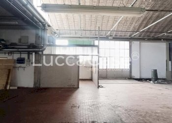 Shed Capannori - photo 5