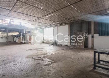 Shed Capannori - photo 6