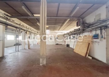 Shed Capannori - photo 7