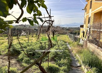 Foto 29 - Quadrilocale Via San Rocco, Controguerra - foto 29