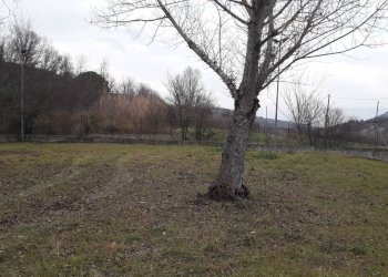 Foto 3 - Terreno edificabile Contrada Colle dei Gesuiti, Bucchianico - foto 3