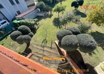 Foto 57 - Villa San Salvatore Telesino - foto 57