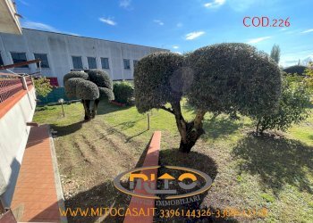 Foto 99 - Villa San Salvatore Telesino - foto 99